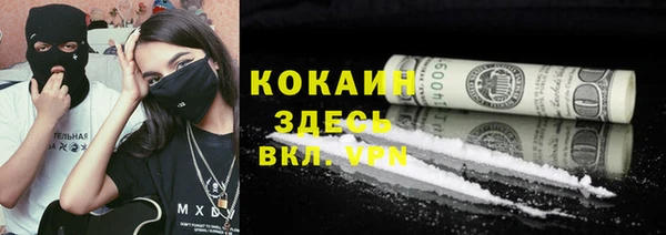 индика Алексеевка