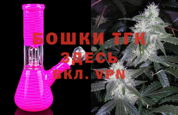индика Алексеевка