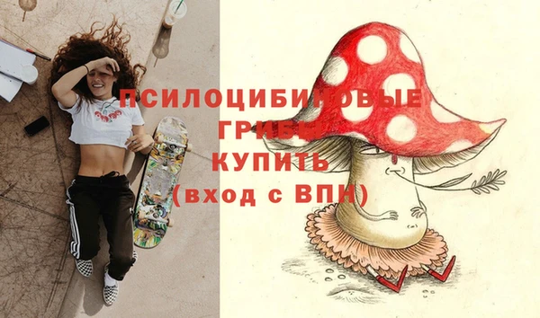 spice Алзамай