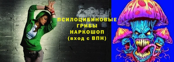 тгк Алексин