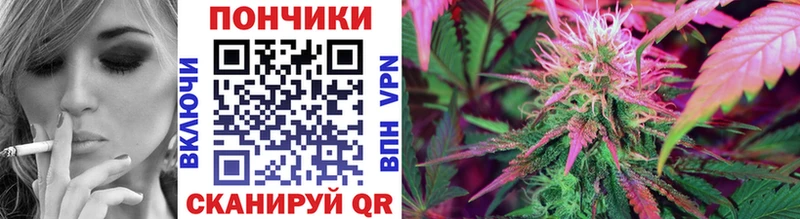 Бошки Шишки ГИДРОПОН  Учалы 